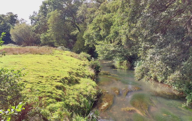 rother_near_rogate1.jpg