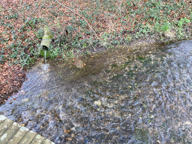 outfall-into-lavant.jpg
