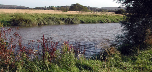 watersfield.jpg