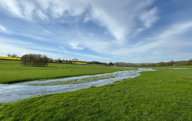 river-lavant-north-of-chi---rebecca-saunders.jpg