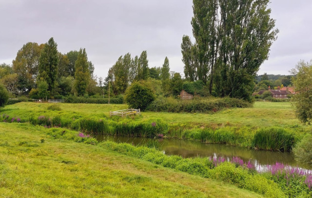 rother-at-fittleworth.jpg
